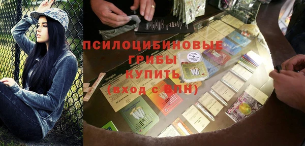 хмурый Покачи