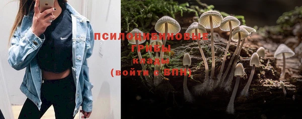 хмурый Покачи