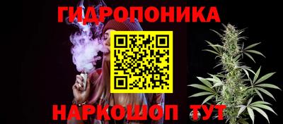 дживик Бийск