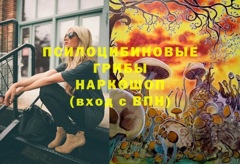 закладка  Вольск  hydra tor  Галлюциногенные грибы Psilocybine cubensis 