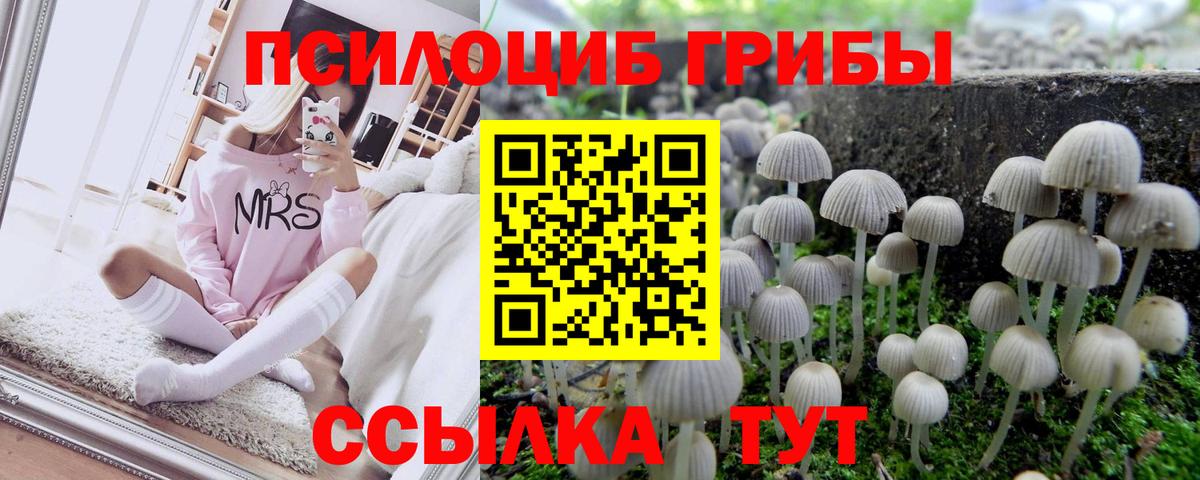 Галлюциногенные грибы ЛСД Вольск
